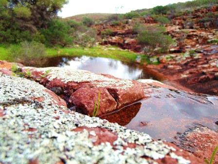 Organ pipes Water pool mossy Organ pipes Water pool mossy